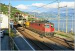 Die Ae 6/6 11485 fährt mit ihrem Güterzug durch die Station Rivaz.