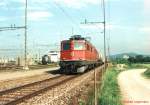 Ae 6/6 11464  Erstfeld  am 18.05.1999 am Gterbahnhof in Dietikon.