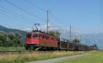 Ae 6/6 11446 am 16.07.08 bei Plattis(Rheintalstrecke Buchs/SG-Sargans)