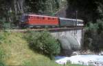 11 414  bei Wassen  20.07.95