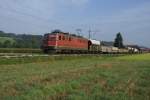 Ae 6/6 11470 befindet sich am 6.9.10 mit einem Gterzug nach Menznau in Lindenholz. Zwischen Langenthal und Menznau sind noch einige Ae 6/6 im Einsatz.