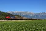 SBB Cargo Ae 6/6 610 496-2 zieht am 18.08.12 einen gemischten Gterzug in Sevelen vorbei.