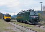 SBB: Die erste Ae 6/6 der Kantone lebt noch in Deutschland. Als Leihgabe von SBB Historic wurde die 11401  TICINO  (1966) am 25. April 2015 in der SVG Eisenbahn Erlebniswelt HORB AM NECKAR präsentiert. Für die Repräsentation der Schweiz hat sie das grüne Kleid zurückerhalten. Aufgenommen wurde sie zusammen mit der NS 1315 (1956).
Foto: Walter Ruetsch 