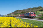 Re 6/6 11647  Bex  und eine Re 4/4 II mit einem Tm 234 und einem gemischten Güterzug am 13. April 2017 bei Essert-Pittet.