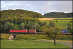 Die Re 6/6 11648  Aigle  (620 048-9) fährt mit einem Containerzug bei Gelterkinden vorüber.