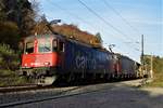 Re 12/12 mit Re 620 046-3 und Re 620 087-7 ziehen in der prallen Abendsonne ihren Güterzug am 19.10.2017 den Bözberg bei Schinznach-Dorf Richtung Basel hinauf.