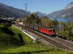 Die Re 620 050 mit einem Güterzug am 11.10.2017 unterwegs bei Unterterzen.