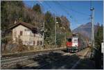 Die SBB Re 620 088-5  X-Rail  mit Stammholzzug bei der Durchfahrt in Preglia Richtung Domodossola.