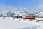 Re 620 037 mit einem Güterzug am 05.02.2019 bei Steinen.