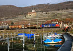 Güterzüge am Bielersee: Durchfahrt der Re 6/6 620 087 in Ligerz.