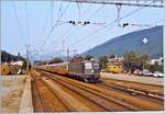 Pieterlen, eine Landstation am Jura Südfuss im Sommer 1984: Vorbei die Zeiten der internationalen Züge Bern - Biel - Delle -Paris, seit wenigen Jahren verkehren auch die Kurswagen Milano -