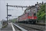 Die SBB Re 6/6 11685 (Re 620 085-1)  Sulgen  ist mit einem Güterzug Richtung Wallis bei St-Saphorin unterwegs.