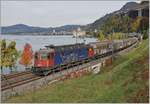 Bei einem eher  schlechten  Licht zeigt sich die SBB Re 6/6 11611 (Re 620 011-7)  Rüti ZH  in bunten Herbst beim Château de Chillon auf dem Weg in Richtung Wallis.