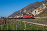 Am frühen Morgen des 01.04.2021 ist SBB Cargo Re 620 056-2 mit einem Kesselzug unterwegs am Bielsersee und konnte hier zwischen See, Dorf, Weinfelder und Strasse bei Ligerz aufgenommen werden.