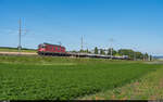 SBB Cargo Re 620 056 / WLV-Zug Müntschemier - Cornaux / Ins, 4. Juni 2021