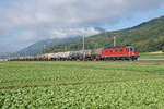 Re 620 066-1  Stein am Rhein  mit einem Kesselwagenzug bei Oensingen am 1.