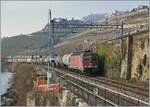 An Genfer See/Lac Léman entlang, zwischen Rivaz und St-Saphorin zieht die SBB Re 6/6 11689 (Re 620 016-6)  Illnau-Effretikon  einen Kesselwagenzug in Richtung Villeneuve.