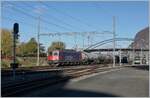 Die SBB Re 6/6 11689 (Re  620 089-3)  Gerra Gambarogno  und somit die letzte bzw.