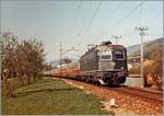 Der IC 375  Mont Blanc  Genève - Hamburg mit Kurswagen des  Hispania -Express verlässt bei Lengnau die Jurasüdfuss Strecke Biel - Olten, um via MLB nach Basel zu fahren. Zuglok der Zuges ist die SBB Re 6/6 11639  Murten . 

Analog Bild / 23. April 1984 