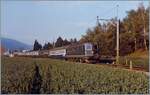 Die SBB Re 6/6 11643  Laufen  ist mit dem IC Mont-Blanc (Hamburg - Genève) auf der MLB kurz nach dem Verlassen von Grenchen Nord in Richtung Lengnau unterwegs.