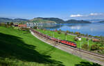 Re 620 025 mit einem Güterzug am 06.10.2022 bei Immensee.