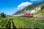 Am 08.07.2022 ist SBB Cargo Re 620 053 unterwegs mit einem Güterzug von Cornaux nach Biel und konnte hier bei Ligerz am Bielersee aufgenommen werden