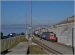 Die SBB Re 6/6 11686 (Re 620 086-9)  Gerra Gambarogno  erreich mit einem Kesselwagenzug von Lausanne kommend Cully. Das Bild zeigt, wie das befahrene, bergseitige Gleise gestreckt und verschoben wurde um Platz führ die hinter meinem Rücken befindliche neuen Weichenverbindungen für den S-Ban Verkehr zu schaffen. 

16. Februar 2023