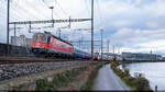 SBB Cargo Re 620 037 / Dietikon, 15. Dezember 2024<br>
Associazione Verbano Express Treno Speciale  Mercatini di Natale di Zurigo  Milano Centrale - Zürich HB