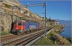 Die SBB Cargo Re 6/6 (Re 620 069-5)  Hägendorf  ist zwischen Rivaz und St-Saphorin als Lokzug unterwegs.

15. November 2024