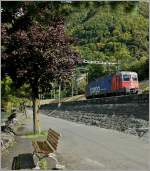 Re 6/6 620 087-7 bei Villeneuve am 04.10.2010