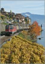 Re 6/6 11605 mit einem Kesselwagenzug bei St-Saphorin am 4.