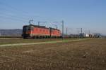 Re 6/6 11608 und Re 4/4 III 11369 befinden sich am 31.10.10 zwischen Dottikon-Dintikon und Hendschiken.