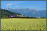 620 042-2 der SBB Cargo mit einem Gterzug bei Sevelen.