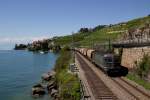 SBB Re 6/6 11646  Bussigny  mit einem Getreidezug zwischen Rivaz und St-Saphorin am 22.08.14