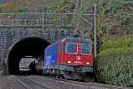 Re 6/6 620 042-2 verlässt einen Kurztunnel in Murg mit einem langen Schienenzug.Bild vom 16.1.2015  