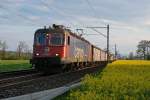 SBB: Güterzug mit der Re 620 033-1  MURI AG  im letzten Abendlicht bei Roggwil am 28.