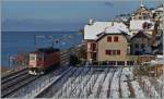 Auch im Lavaux kann es schneien, dann aber ist mit dem Fotografieren Eile geboten, denn lange liegt der Schnee hier nicht.