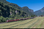 Re 6/6 11618  Dübendorf  und Re 4/4 II 11278  Cham  fahren am 23. August 2016 mit einem Kesselwagenzug unterhalb von Faido südwärts. Die Re 4/4 II 11278 erhielt ihr Gemeindewappen im März 2016. Es stammt von der am 13. Mai 2015 in Erstfeld verunfallten Re 6/6 11673, welche danach als Ersatzteilspender ausgemustert wurde.