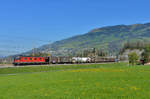 Re 620 031 mit einem Güterzug am 08.04.2017 bei Steinen.