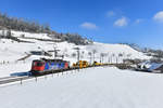 Re 620 034 mit einem Güterzug am 05.02.2019 bei Arth.