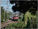 Die SBB Re 6/6 11685 (Re 620 085-1)  Sulgen  schlängelt sich mit ihrem Güterzug auf der Fahrt in Richtung Wallis hinter dem Château de Chillon durch.