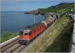 Die SBB Re 6/6 11680 (Re 620 080-2)  Möhlin  fährt mit einem Kesselwagenblockzug zwischen Rivaz und St-Saphorin dem Genfersee (Lac Léman) entlang.