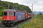 Re 620 074-5  Murgenthal  ist mit dem 60120 nach Basel beschäftigt, aufgenommen bei Villnachern AG am Morgen des 22.08.2020.