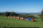 SBB Cargo Re 6/6 11672  Balerna  mit einer Hlfte des Kieszuges nach Bretswil Tobel (geschobene Leerrckfahrt nach Hinwil) am 21.