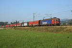 Re 620 059-6  CHAVORNAY  mit dem Güterzug ab Gerlafingen bei Niederbipp am 17. September 2020.
Die schwarze Katze lässt sich weder vom Güterzug noch vom Bahnfotografen vertreiben.
Foto: Walter Ruetsch