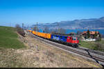 SBB Cargo Re 620 071-1 ist am 01.03.2021 von Buchs SG nach Visp unterwegs und konnte hier kurz vor Spiez aufgenommen werden.