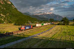 Am 11.06.2021 ist SBB Cargo Re 620 089-3 unterwegs mit einem CargoExpress von St-Triphon nach Lausanne Triage und konnte hier bei Roche VD aufgenommen werden.