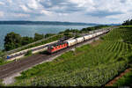 Am 12.06.2021 ist SBB Cargo Re 620 036-4 mit einem CargoExpress von Genève-La-Praille in den RBL unterwegs und konnte hier im nicht ganz optimalen Licht bei Vaumarcus aufgenommen werden.