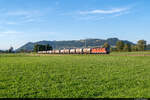 Am 23.08.2022 ist SBB Cargo Re 620 018 unterwegs mit einem Nahgüterzug von Bern Weyermannshaus nach Thun und konnte hier bei Lohnstorf aufgenommen werden