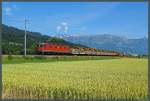 SBB Re 6/6 11649 mit einem Bauzug bei Sevelen.